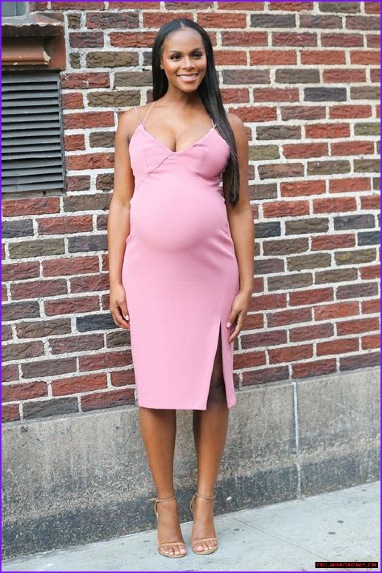 Michelle Obama Pregnancy Picture: A Glimpse Into A Historic Moment